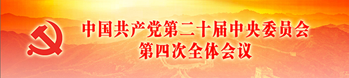 中国共产党第二十届中央委员会第四次全体会议